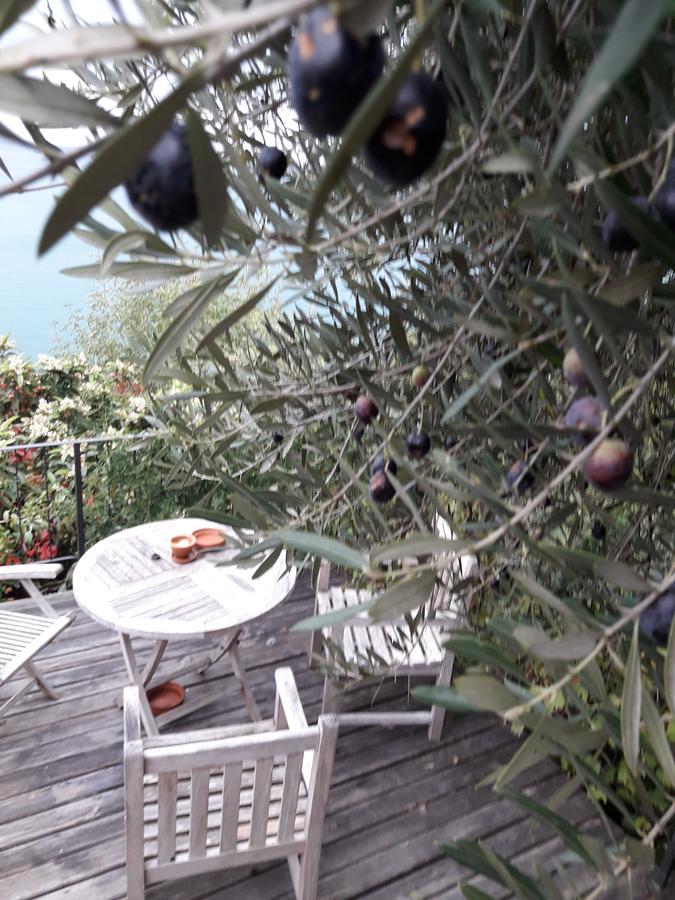 Apartments Olive Garden Piran Exterior photo